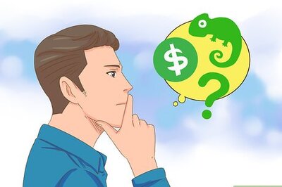 How to Buy a Chameleon