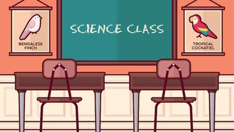 How to Study Animals