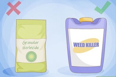 How to Kill Weeds in Rocks