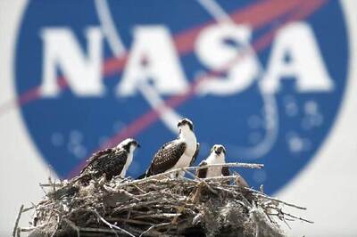 NASA Warned of Increased Security Breach Risk