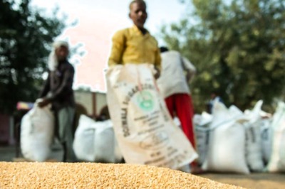 Wheat To Get Cheaper Now? India Likely To Import Wheat At Discount From Russia