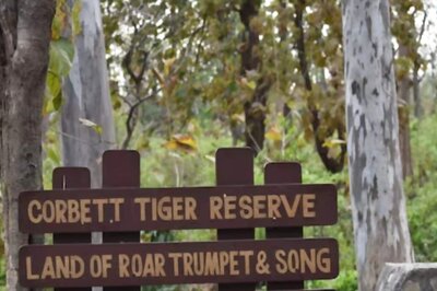 'Public Trust In Waste Bin': SC Raps Uttarakhand Over Illegal Structures, Felling Of Trees In Corbett Tiger Reserve