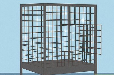 How to Take Care of a Quaker Parrot