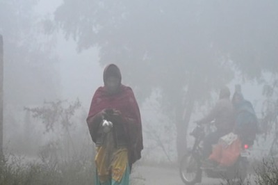 Punjab, Haryana Continue to Reel Under Cold Conditions; Fog Disrupts Visibility