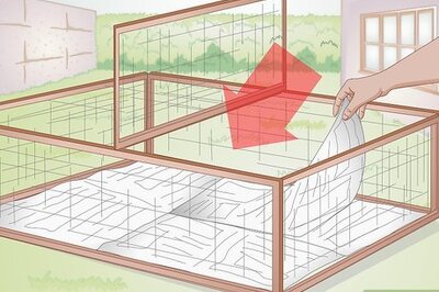 How to Set Up a Rabbit Hutch