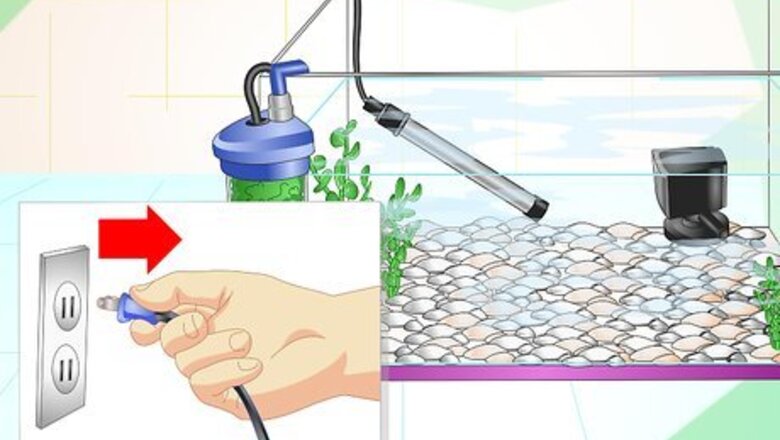 How to Fix Cloudy Aquarium Water