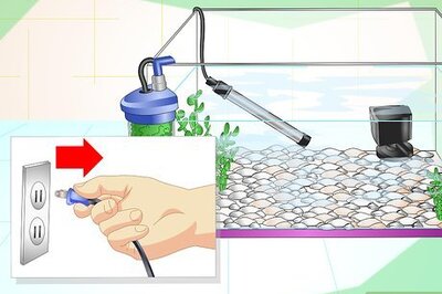 How to Fix Cloudy Aquarium Water