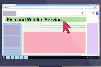 How to Start Duck Hunting