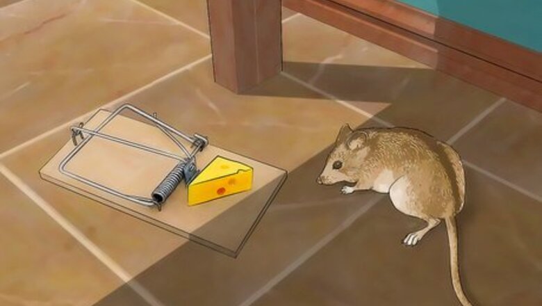How to Control Mice