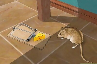 How to Control Mice