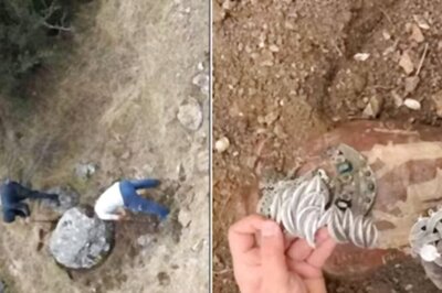Watch: Men Find Ancient Artefacts Inside A Boulder