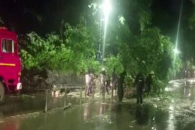 Weather News Updates: Trees Uprooted, Waterlogging in Pune; Mumbai Sees Wettest October in a Decade