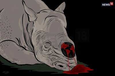 Vietnam Seizes 125 Kilos of Rhino Horn Hidden in Plaster from Hanoi's Airport