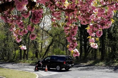 Empty Churches, Food Drive Mark Start of Easter Weekend in Coronavirus-hit US