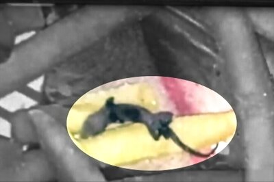 Pregnant Kolkata Woman Finds Lizard In McDonald’s French Fries, FIR Filed