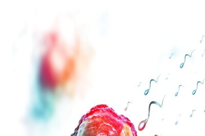 What Causes Low Sperm Count In Indian Males? How Can It Be Treated?