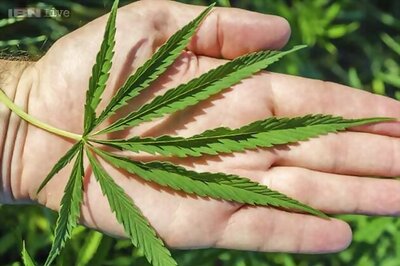 Cannabis helps shrink aggressive brain cancer in lab