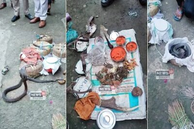 Himachal Forest Officials Arrest 3 Men, Recover Snakes and Exotic Birds