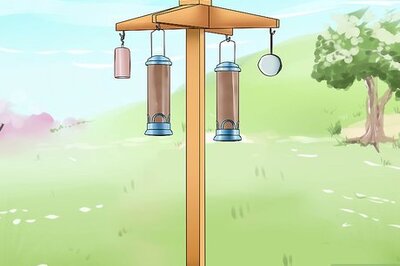 How to Deter Squirrels from Bird Feeders