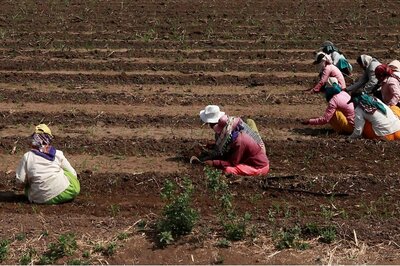 122 Farmers' Suicides in West Bengal District, RTI Query Reveals; Mismatch in State Data Given to NCRB