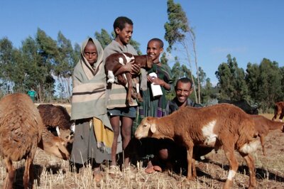 Climate Change And Agriculture: Ethiopia Farmers Utilise Smart Methods To Tackle Erratic Weather