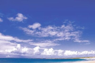 Want To Work In A Scenic Scottish Island? This Job Might Just Be For You