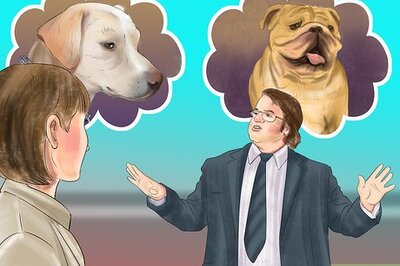 How to Bring Up a Loyal Dog