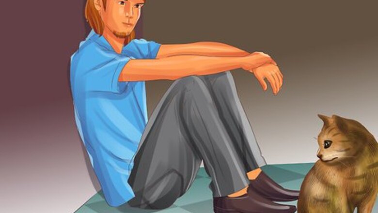 How to Socialize a Fearful Cat