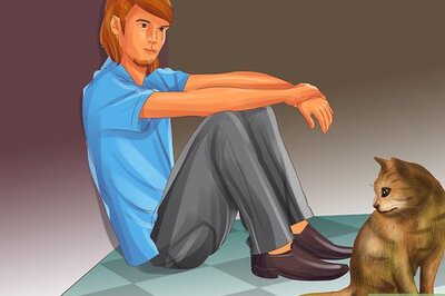 How to Socialize a Fearful Cat