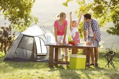 Planning a Picnic This Summer? Know How to Keep The Food Safe