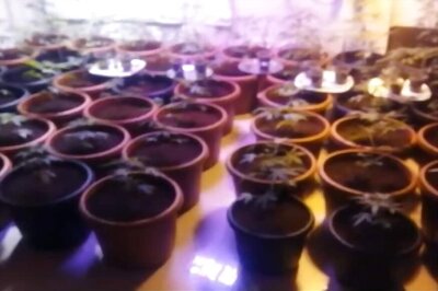 Hyderabad Man Held For Having a Mini Ganja Farm Inside 3-BHK Flat