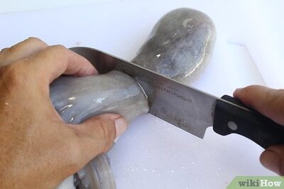 How to Clean Octopus