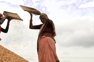 Centre in Final Stages of Developing System to Extend Subsidized Foodgrains to Homeless, Destitute