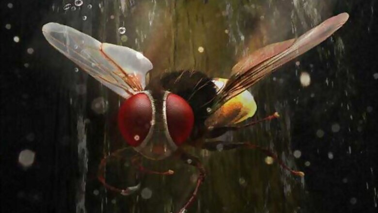'Eega' to release in Hindi on October 12