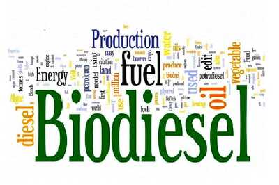 Biodiesel Can Change the Air of Delhi and the Nation - Opinion