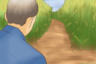 How to Find Your Way Through a Corn Maze