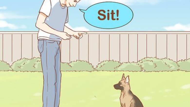 How to Train Dogs to Leave Chickens Alone
