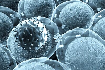 Five-year-old Girl Dies of Chandipura Virus in Gujarat