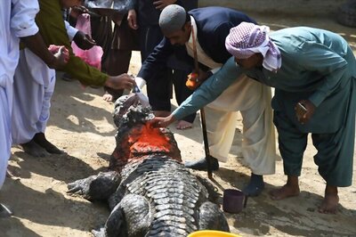 How Crocodiles Guard the Secrets of Pakistan's Lost African Past