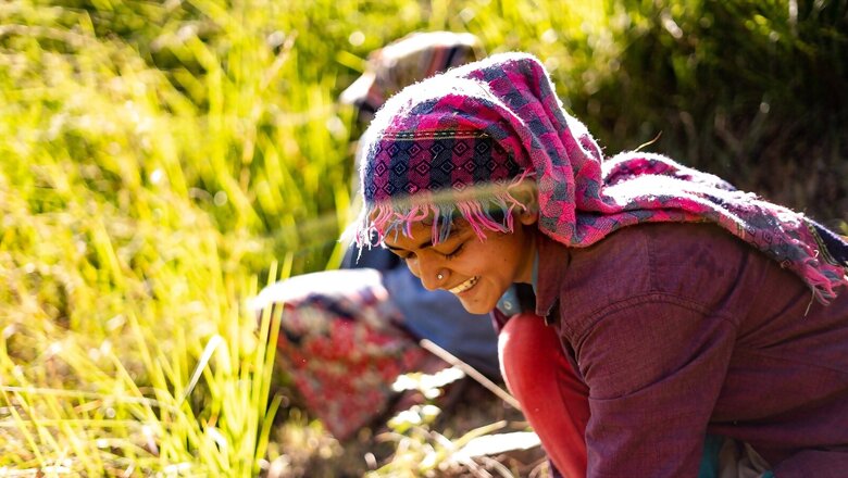 International Day of Rural Women 2022: All You Need to Know
