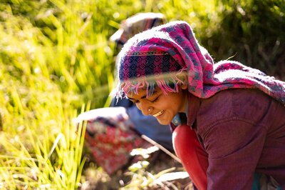 International Day of Rural Women 2022: All You Need to Know