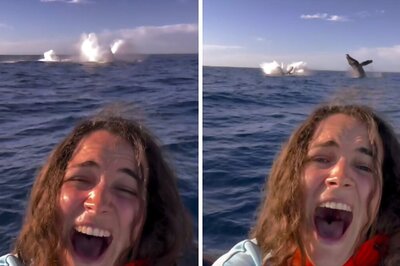 It's Not Everyday You See Whales Photobomb Woman's Selfie