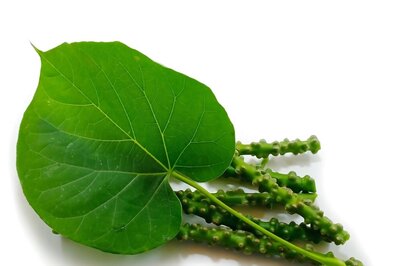 5 Ayurvedic Herbs That Can Help You Lose Weight