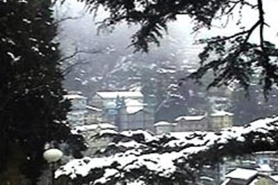 Bus falls into gorge in Himachal, 20 feared dead