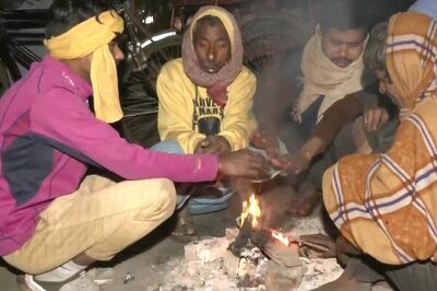 North India Reels Under Cold Wave; Fog Hits Train Services