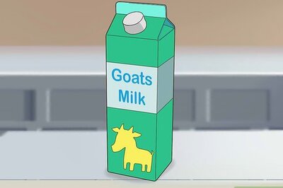 How to Make Catsicles