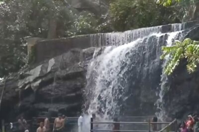 Tamil Nadu's Suruli Waterfall Temporarily Closed After Elephants Camp In The Area