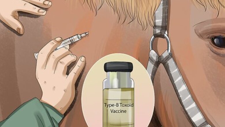 How to Prevent Botulism in Horses