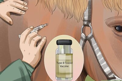 How to Prevent Botulism in Horses