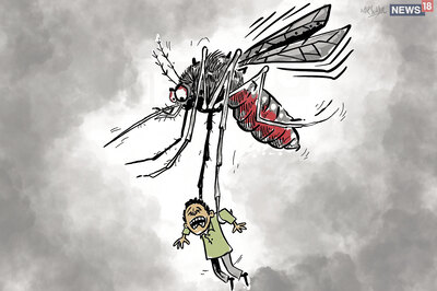 378 Cases of Malaria, Chikungunya Reported in Delhi Since January This Year